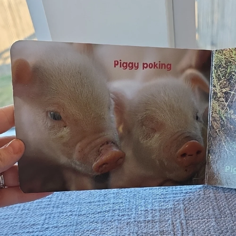 Busy Piggies Green and White Board Book